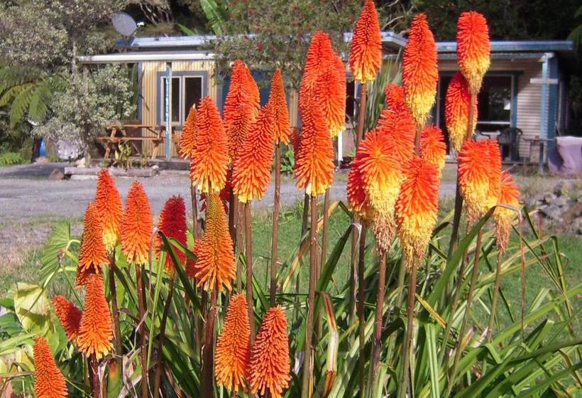 Hostel Little Earth Lodge 3