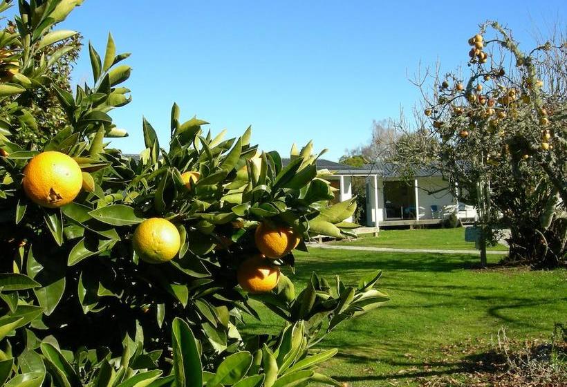 Hostel White Elephant Backpackers 10