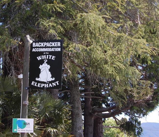 Hostel White Elephant Backpackers 14