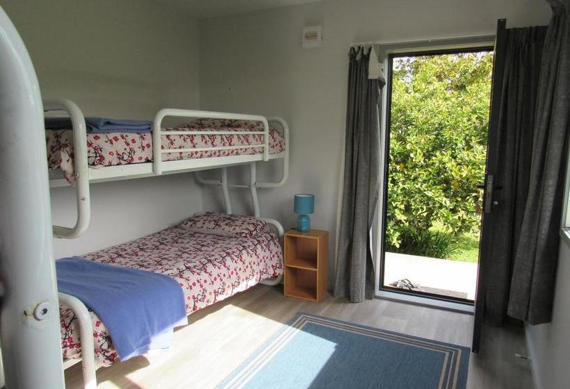 Hostel White Elephant Backpackers 3