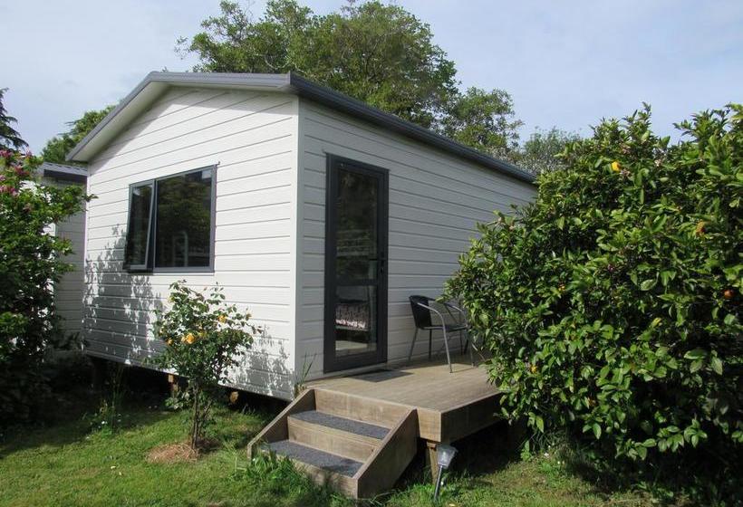 Hostel White Elephant Backpackers 4