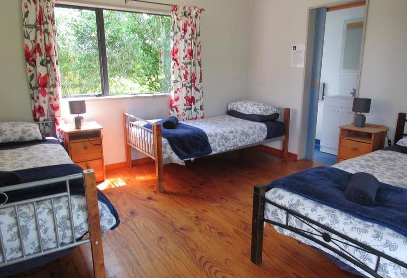 Hostel White Elephant Backpackers 5