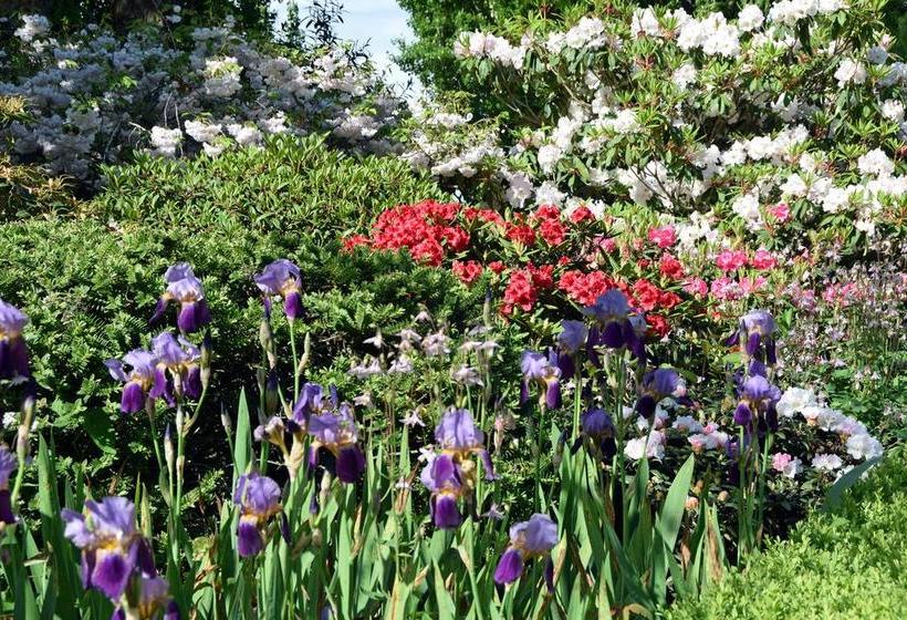 Bed and Breakfast Revive On Oakview Boutique Beauty And Accommodation 2