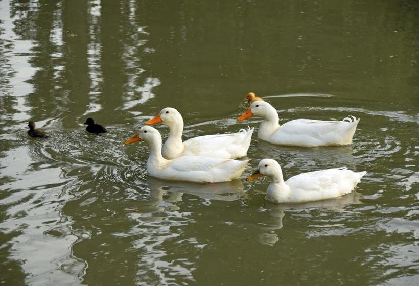 Bed and Breakfast Revive On Oakview Boutique Beauty And Accommodation 3