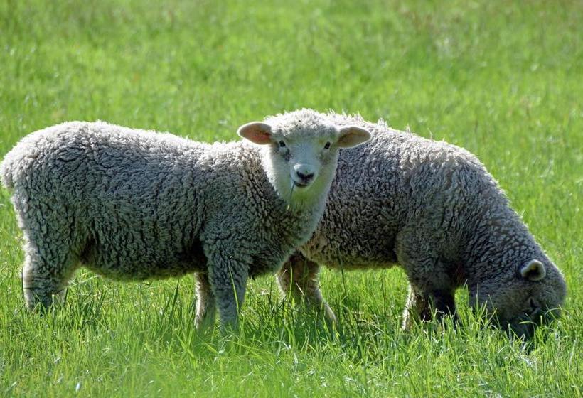 Bed and Breakfast Revive On Oakview Boutique Beauty And Accommodation 4