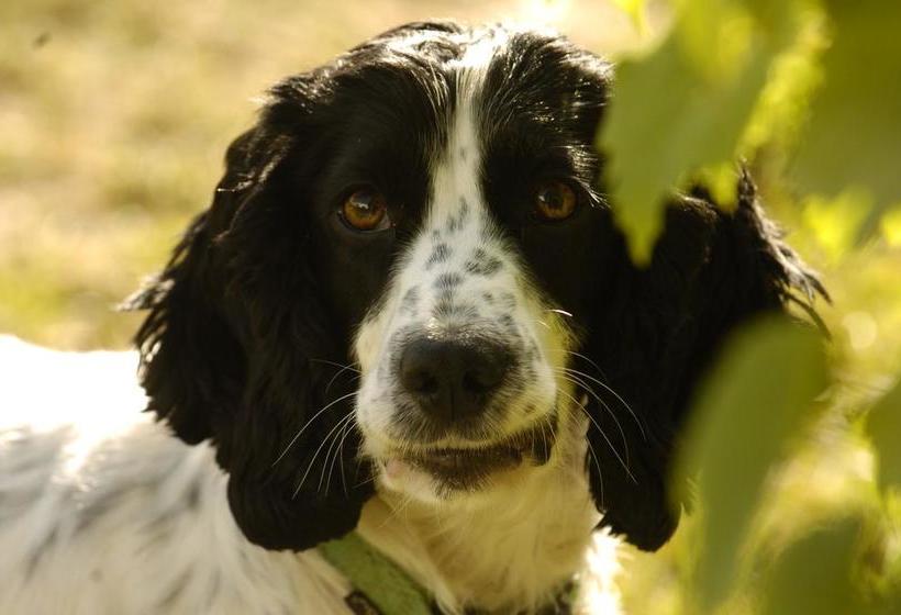 Bed and Breakfast Revive On Oakview Boutique Beauty And Accommodation 5