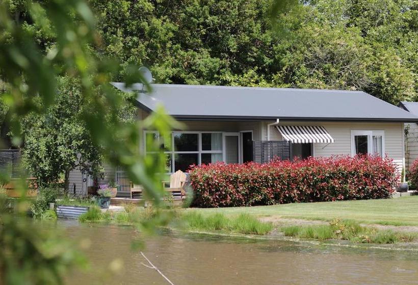 Bed and Breakfast Revive On Oakview Boutique Beauty And Accommodation 7