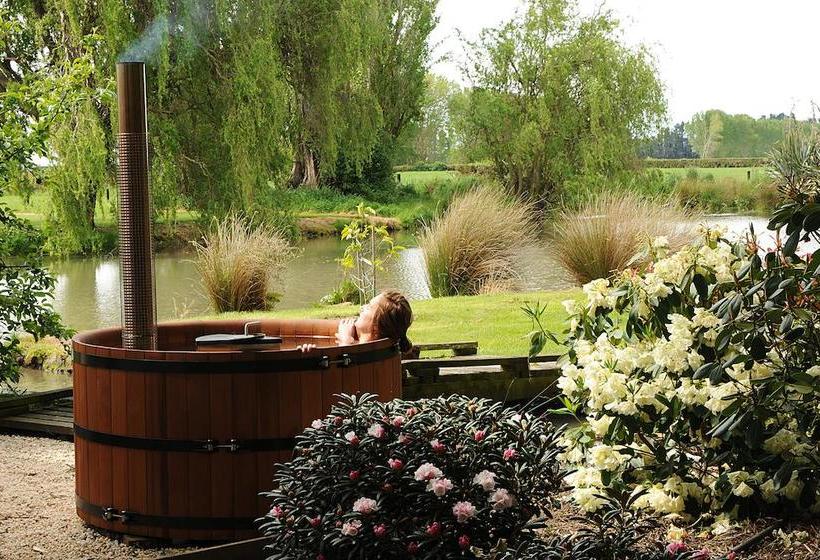 Bed and Breakfast Revive On Oakview Boutique Beauty And Accommodation 8