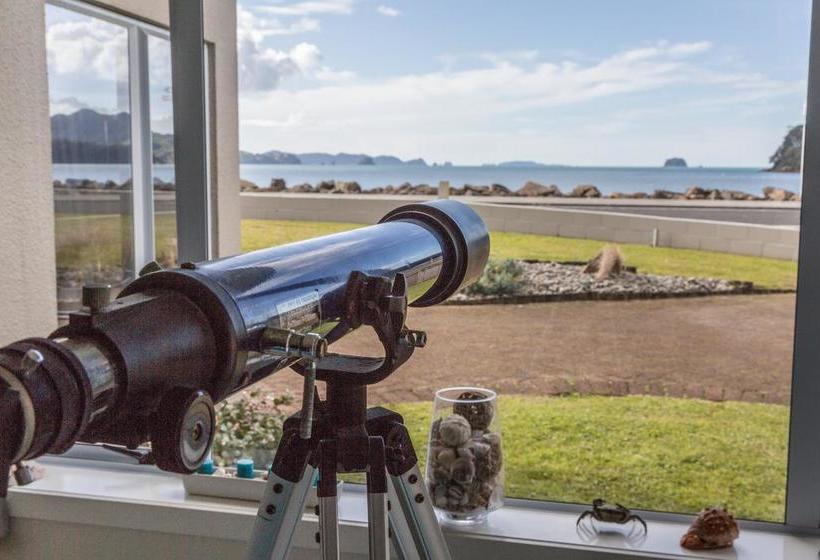 Motel Waterfront Apartments Whitianga 15