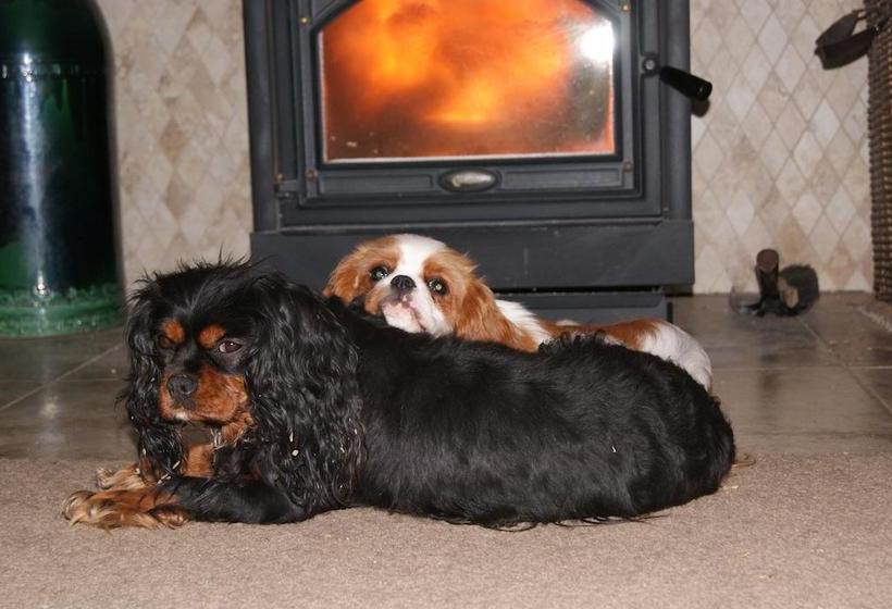 Bed and Breakfast Gully Retreat Karapiro 15