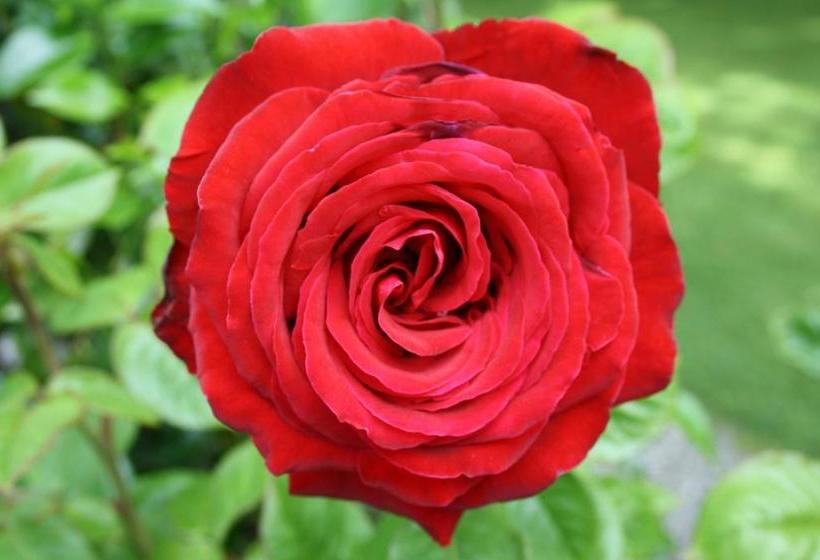 Motel Shades Of Arrowtown 2