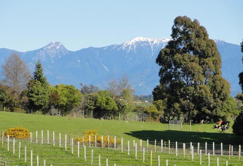 Bed and Breakfast Pine Hill Lodge 17