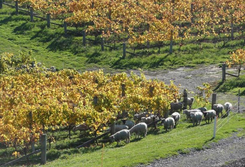 Bed and Breakfast Pine Hill Lodge 19