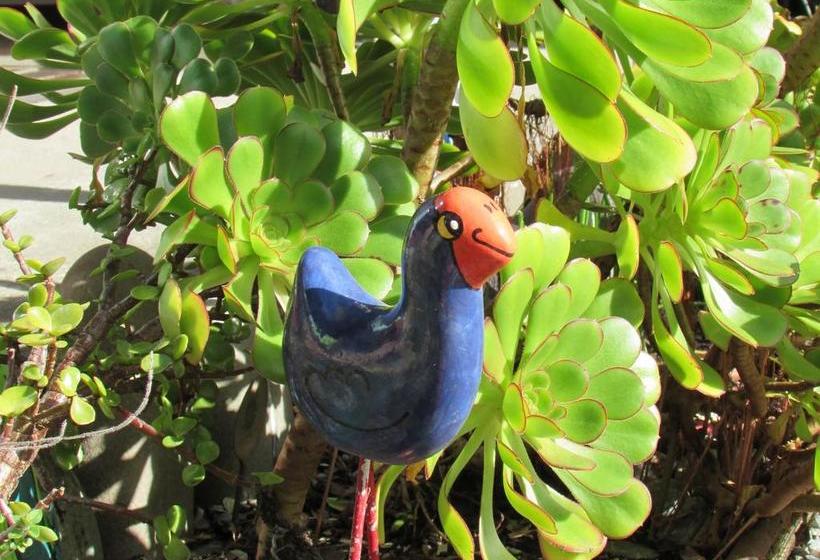 Hostel Birdsong Backpackers 19