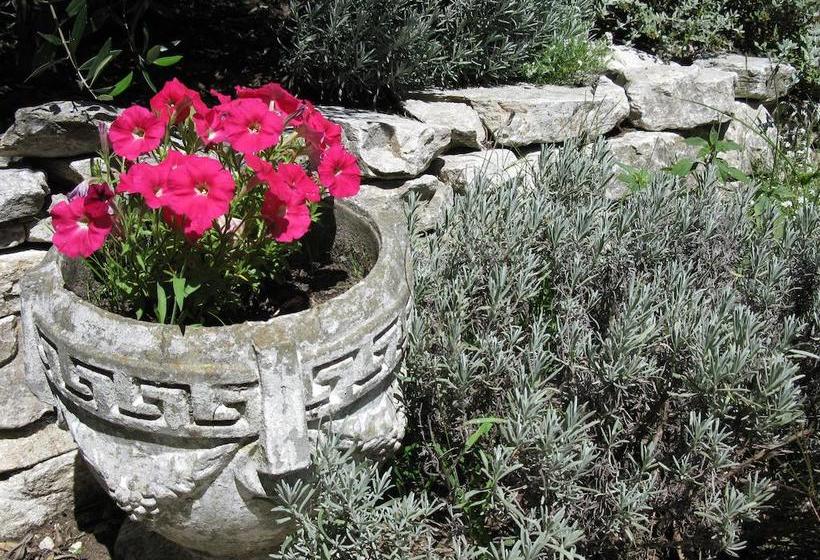 Beachside Villas Motel 11