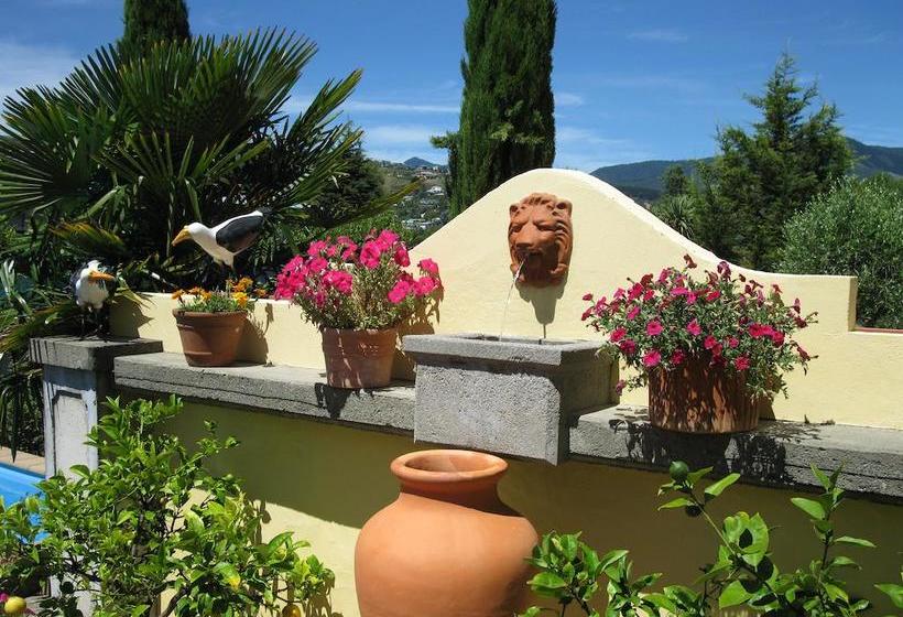 Beachside Villas Motel 13