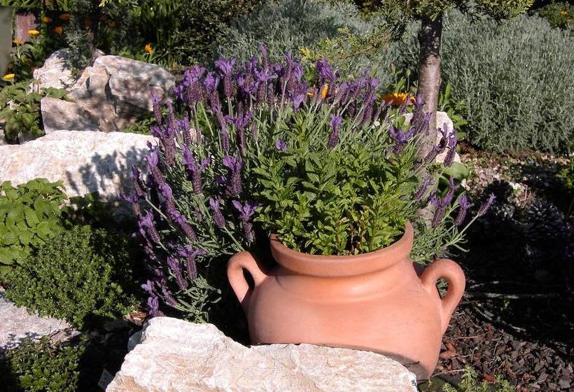 Beachside Villas Motel 14