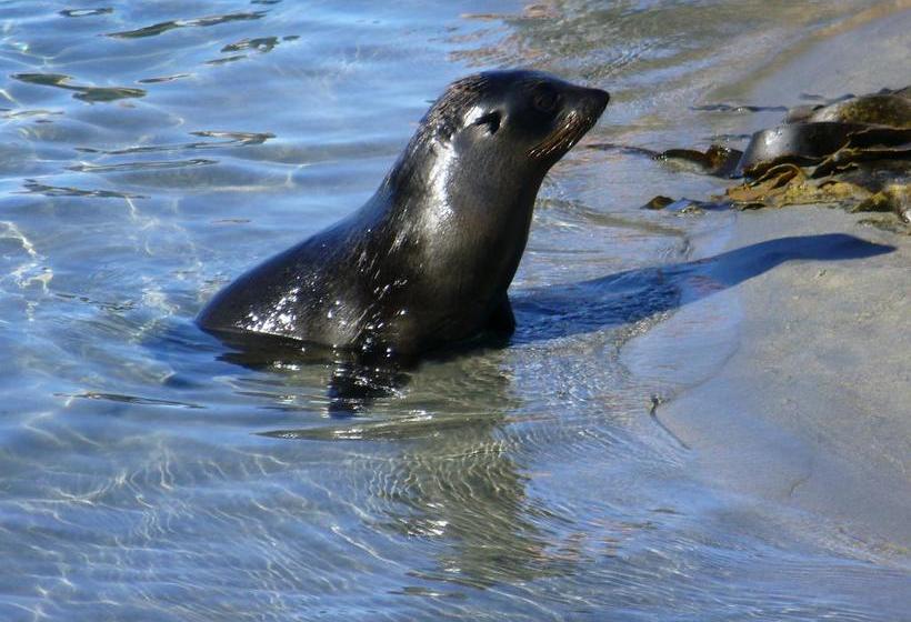 Bed and Breakfast Twin Waters Lodge 11