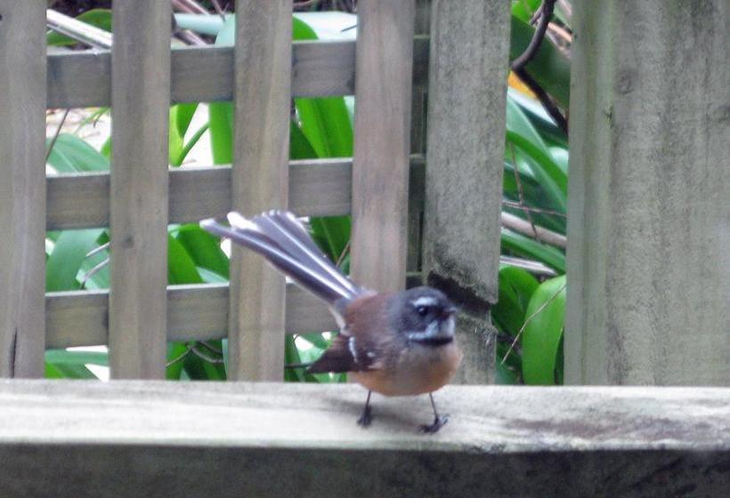 Bed and Breakfast Twin Waters Lodge 12