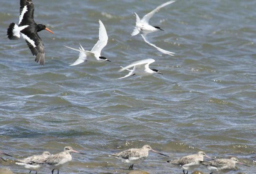 Bed and Breakfast Twin Waters Lodge 13