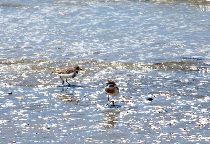 Bed and Breakfast Twin Waters Lodge 14