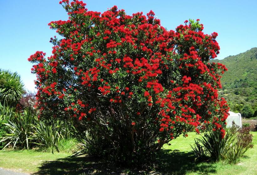 Bed and Breakfast Twin Waters Lodge 15