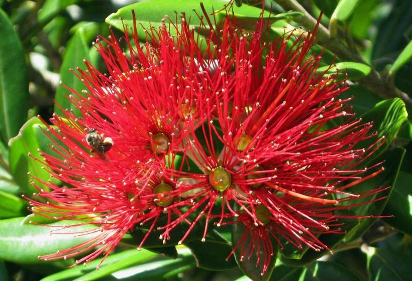 Bed and Breakfast Twin Waters Lodge 16