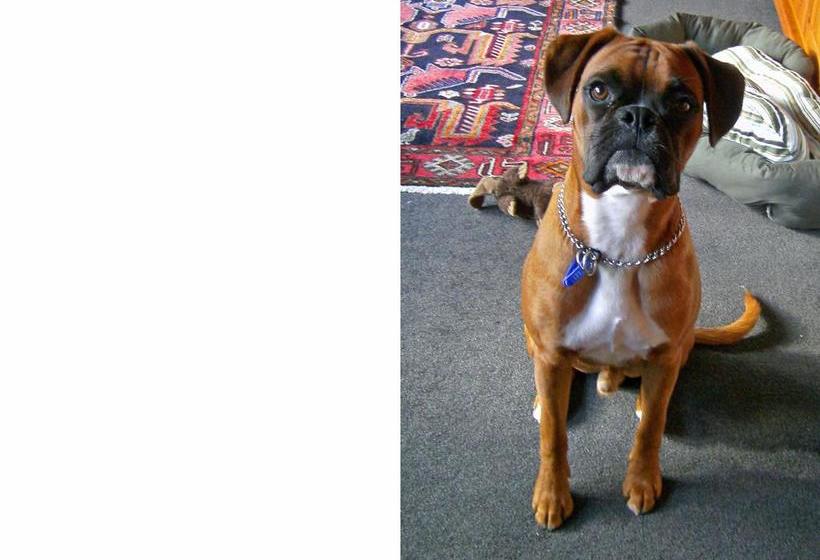 Bed and Breakfast Twin Waters Lodge 17