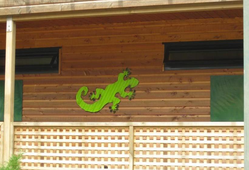 Bed and Breakfast Twin Waters Lodge 8