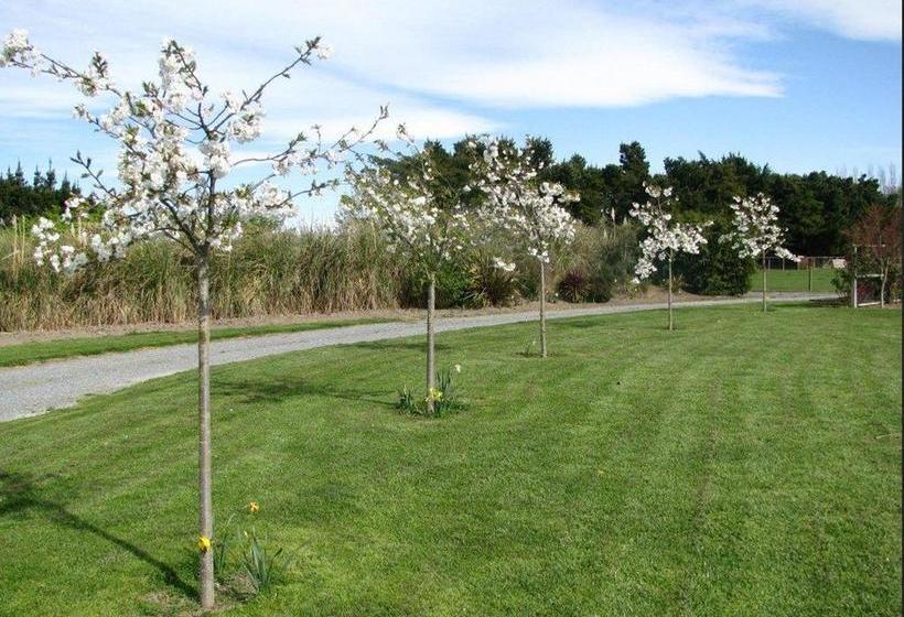 Cricklewood House Bed & Breakfast 3