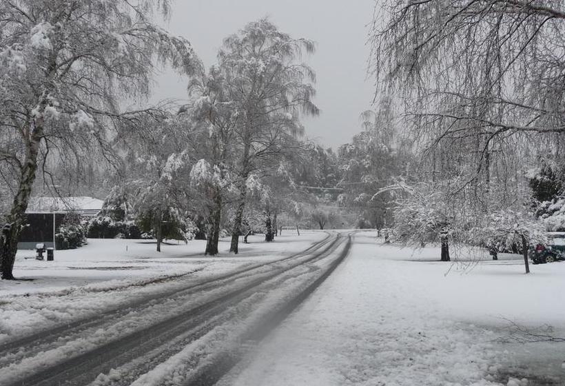 Harrogate Gardens Motel 15