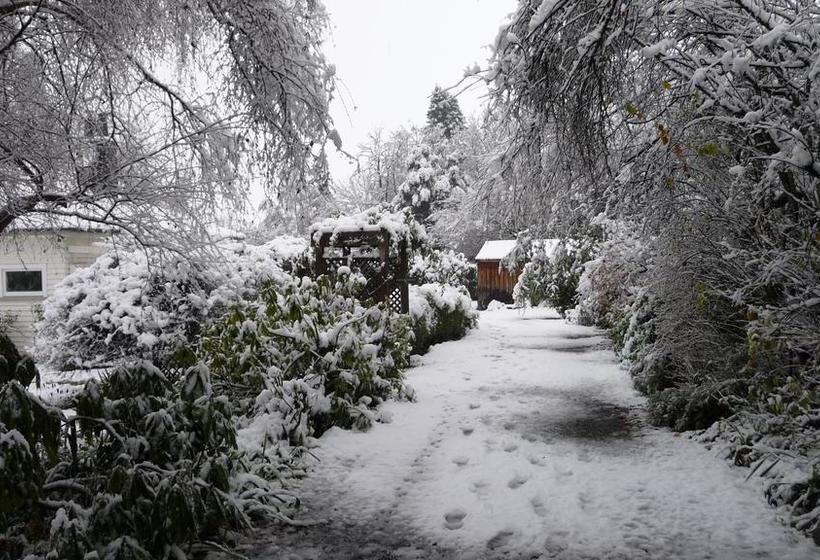 Harrogate Gardens Motel 17