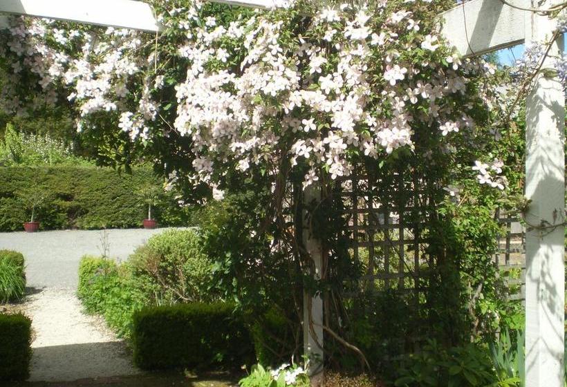 Harrogate Gardens Motel 7