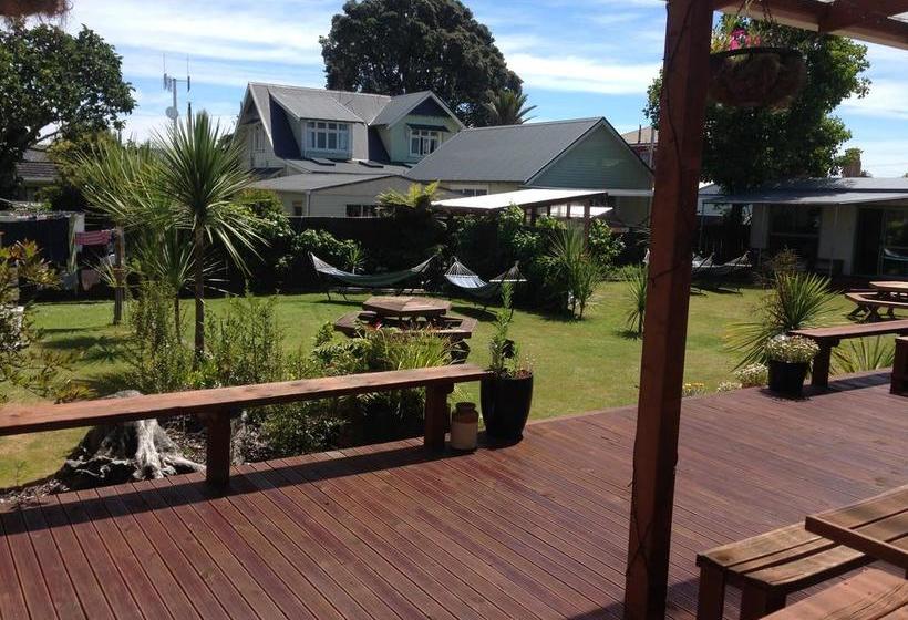 Tripinn Hostel Backpackers Yha 1