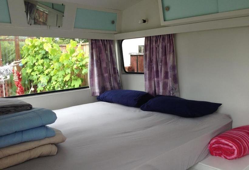 Tripinn Hostel Backpackers Yha 3