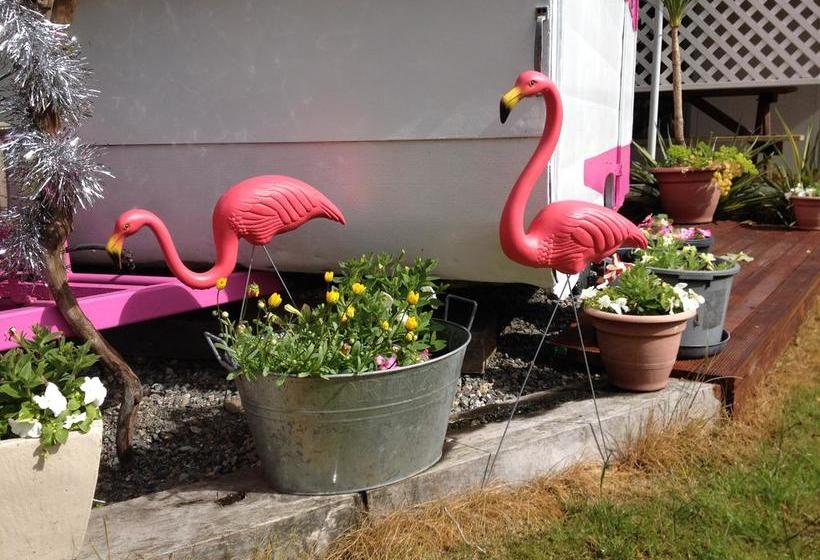 Tripinn Hostel Backpackers Yha 4