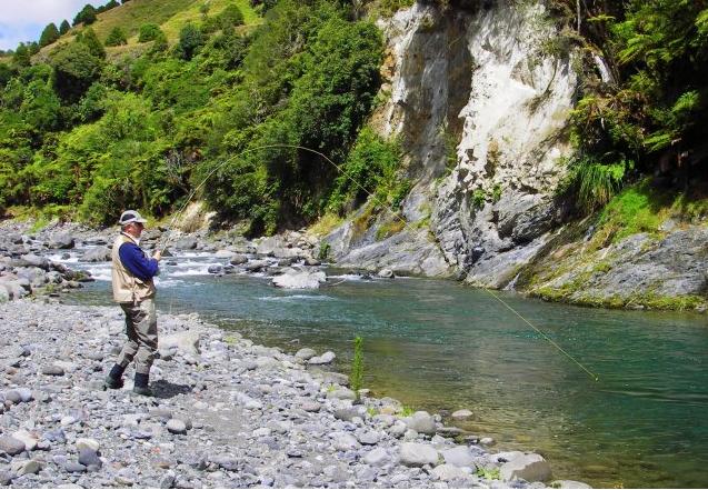 Bed and Breakfast Tui Lodge 10