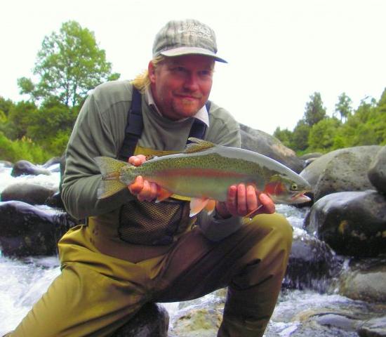 Bed and Breakfast Tui Lodge 12