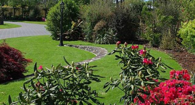 Bed and Breakfast Tui Lodge 5