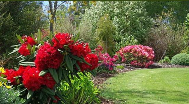 Bed and Breakfast Tui Lodge 9