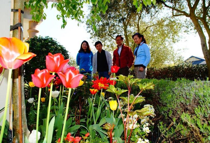 Olive House Bed And Breakfast South Island