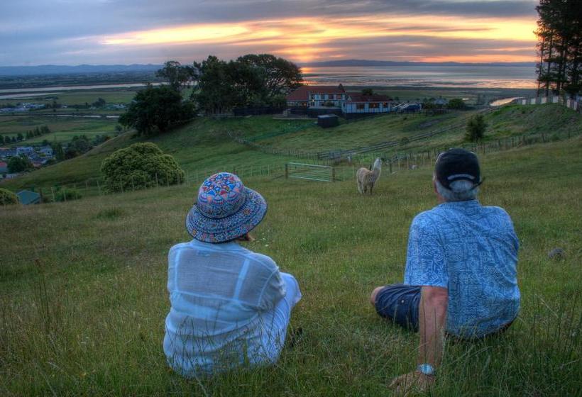 Chartre` Manor B&b 10