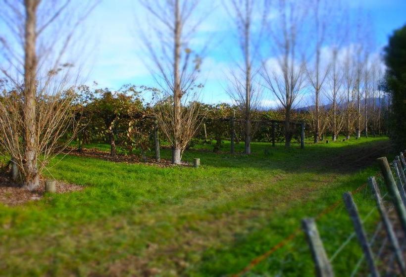 Hostel Yha Motueka / Laughing Kiwi Backpackers 10