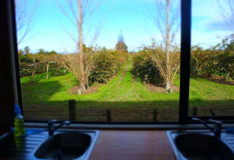 Hostel Yha Motueka / Laughing Kiwi Backpackers 19