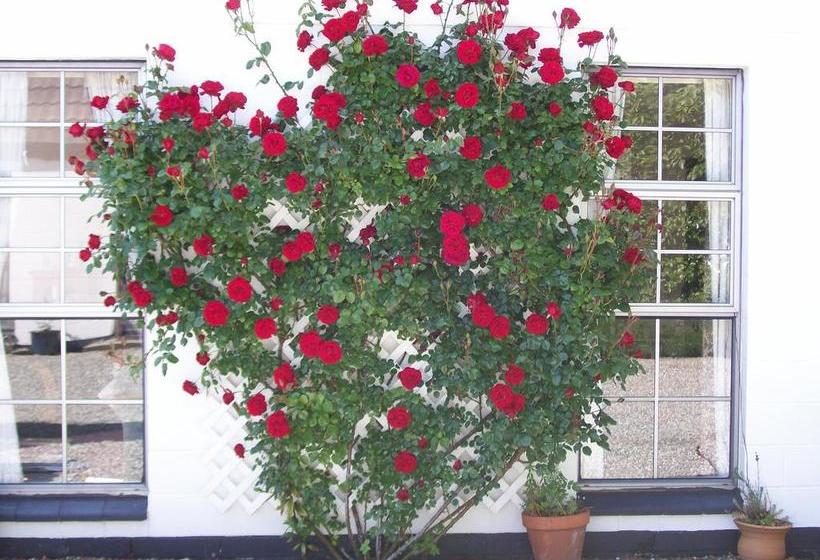 Antique Lodge Motel 11