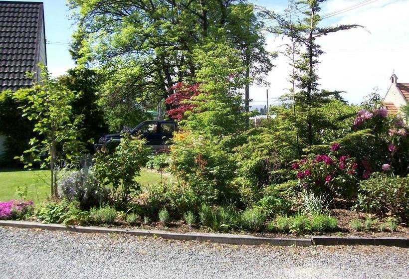 Antique Lodge Motel 3