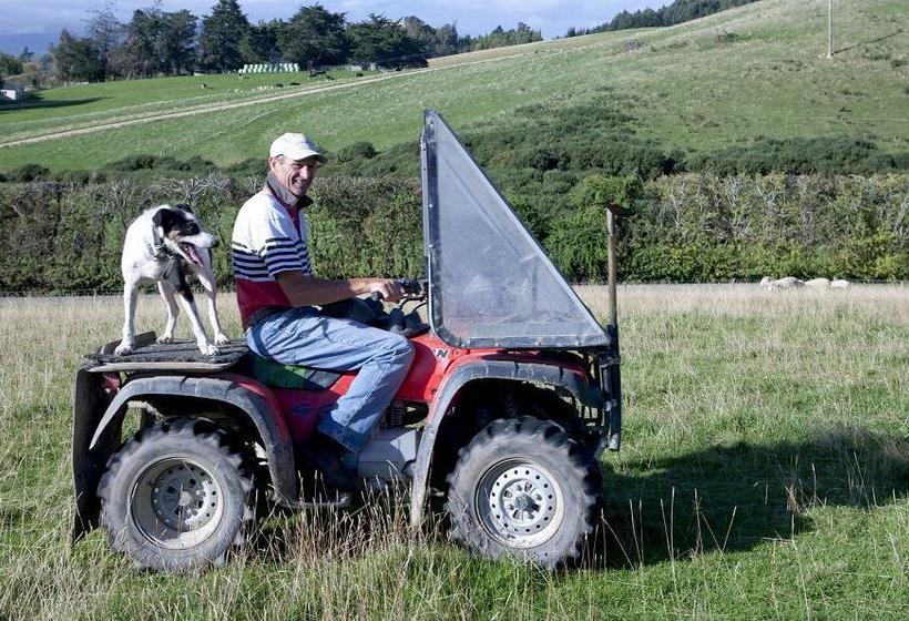 Bed and Breakfast Silver Peaks Lodge 11