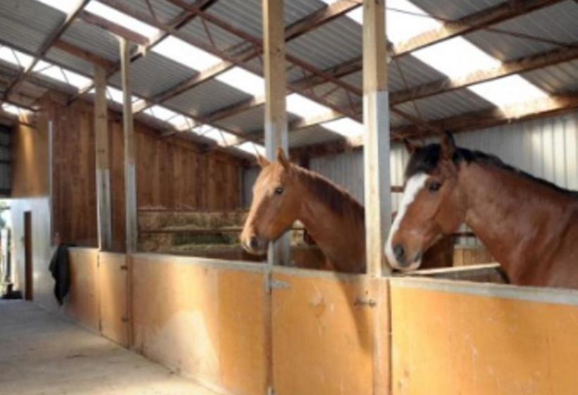 Bed and Breakfast Silver Peaks Lodge 12