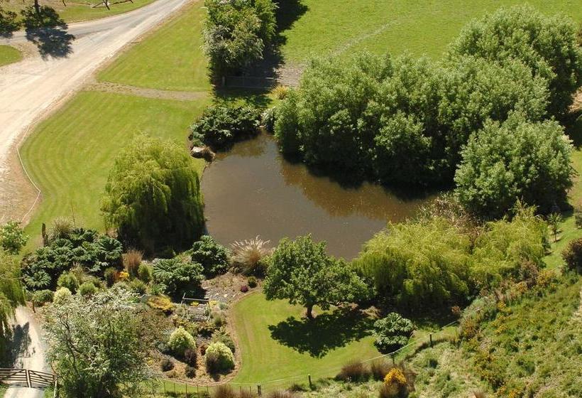 Bed and Breakfast Silver Peaks Lodge 6