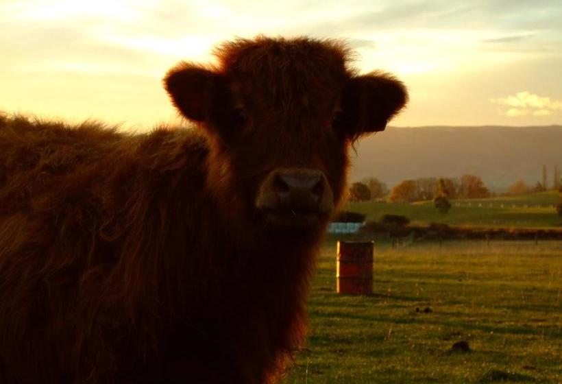 Bed and Breakfast Silver Peaks Lodge 9